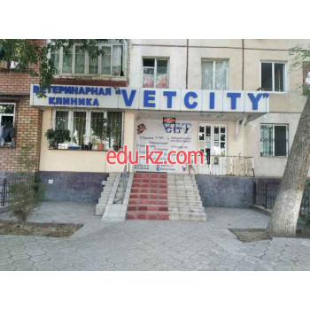 Ветеринарная клиника - Vet City