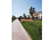 Школа-интернат - Специализированная школа-интернат искусств Кашкадарьинской области