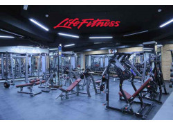 Спортивный, тренажерный зал - Life Fitness