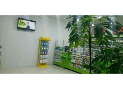 Аптека - Аптека Impulse Pharm