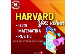 Курсы иностранных языков - Harvard School