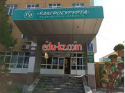 Курсы иностранных языков - Algoritm