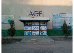 Курсы иностранных языков - Ace