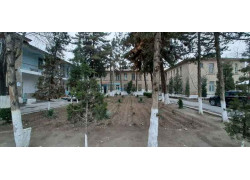 Больница для взрослых - Больница № 2 города Ферганы