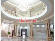 ВУЗ - Webster University in Tashkent