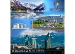 ВУЗ - Asia Consult