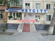 Ветеринарная клиника - Vet City