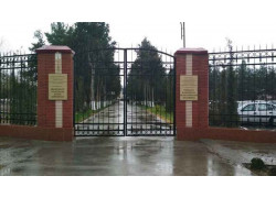 Больница для взрослых - Городская клиническая психиатрическая больница
