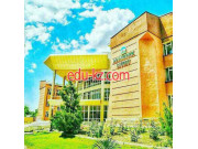 Лицей - Академический лицей Самаркандского института экономики и сервиса