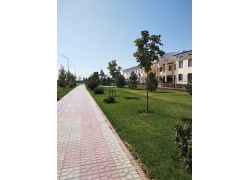 Школа-интернат - Специализированная школа-интернат искусств Кашкадарьинской области