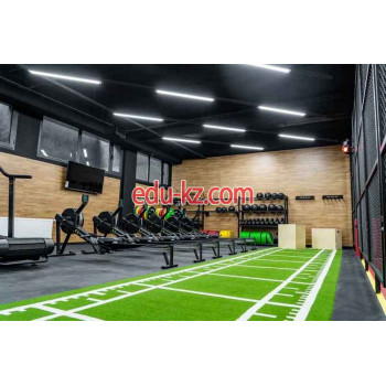 Спортивный, тренажерный зал - Medion Sport