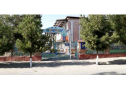 Детский сад - Государственная дошкольная образовательная организация № 20