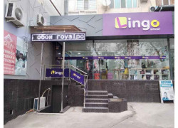 Курсы иностранных языков - Lingo School