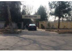 Гимназия - Школа № 242