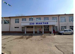 Общеобразовательная школа - Школа № 230