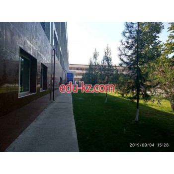 ВУЗ - Факультет электроники и автоматики
