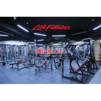 Спортивный, тренажерный зал - Life Fitness