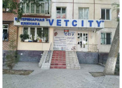 Ветеринарная клиника - Vet City