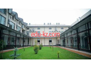 Медцентр, клиника - Novo Medics