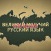 Дополнительное образование - Free Study