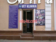 Ветеринарная клиника - Vet klinika